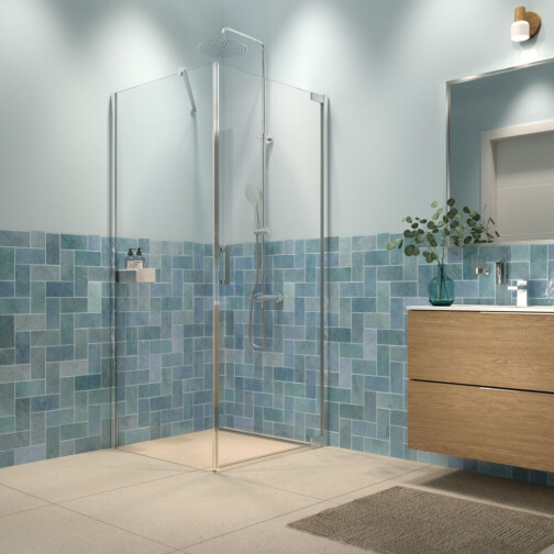 Sealskin Inc. draaideur en zijwand douchecabine 100x100x200